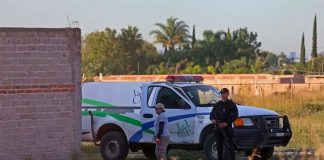 Officials continue to find bodies in Jalisco.