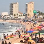 The tourism industry in Mazatlán is hoping for an early return to this.