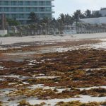 First the coronavirus and now this.