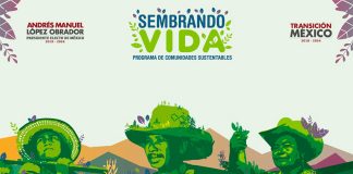 The federal government's rural employment program has run into a few problems.