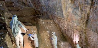 Researchers at work in the cave.