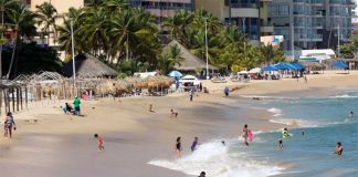 An Acapulco beach with palms and palapas