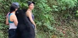 Women remain still as a black bear checks them out in a park in Nuevo León.