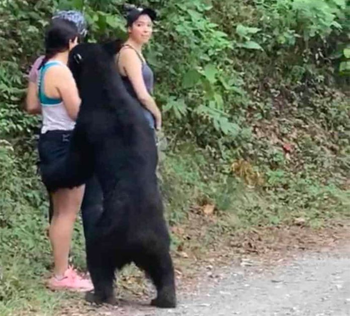Women remain still as a black bear checks them out in a park in Nuevo León.