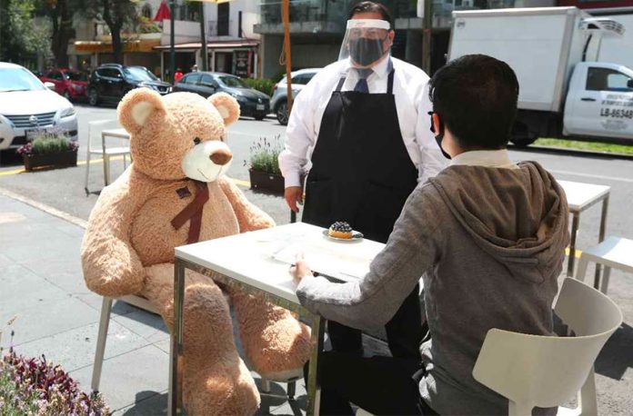 Lunch with a teddy bear in Polanco.