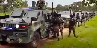 Cartel shows off its firepower in one of two recent videos.