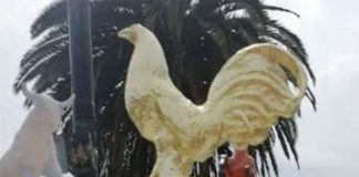 A statue of a fighting cock graces the town square in Tianguistengo.