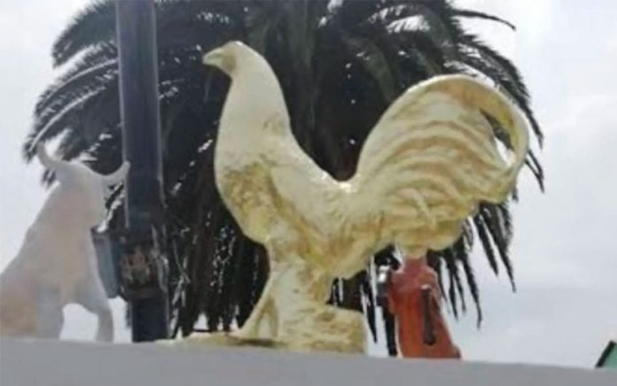 A statue of a fighting cock graces the town square in Tianguistengo.