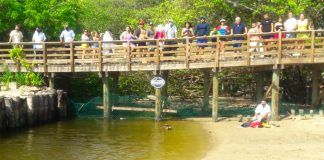Scene of the crocodile attack in Ixtapa.