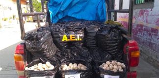 The truck and its cargo of eggs seized this week in Oaxaca.