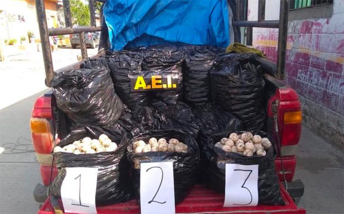 The truck and its cargo of eggs seized this week in Oaxaca.