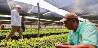President López Obrador tours a military tree nursery in Tabasco.