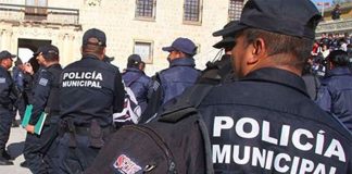 Their role will soon go beyond riding around in the back of a pickup truck.