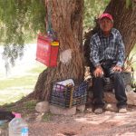 Rodríguez sells his pulque from under the shade of a tree in Atotonilco.