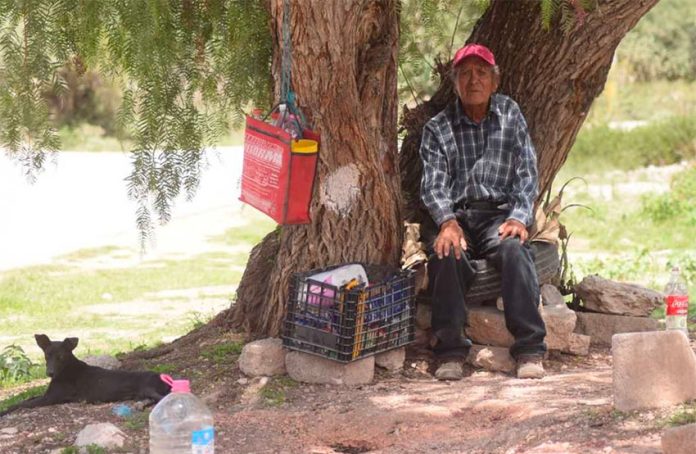Rodríguez sells his pulque from under the shade of a tree in Atotonilco.