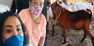 Rodríguez and her mother are raffling the goat to pay for surgery.