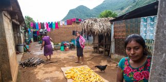Corn dries in a yard in Santos Reyes Yucuná.