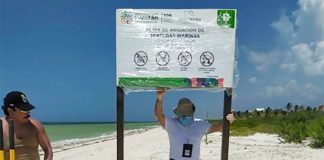 Signs advise visitors of the presence of turtles.