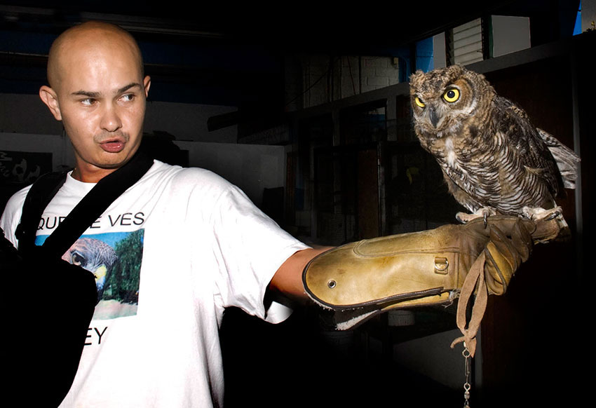 An owl is taught how to hunt.