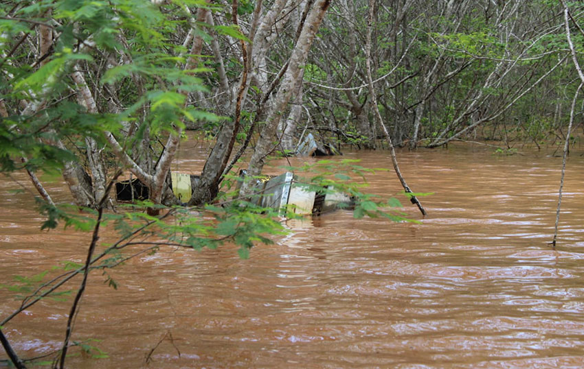 Flooded beehives in Campeche.
