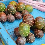 Pithaya fruit at a market in Acatlán, Puebla.
