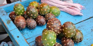 Pithaya fruit at a market in Acatlán, Puebla.