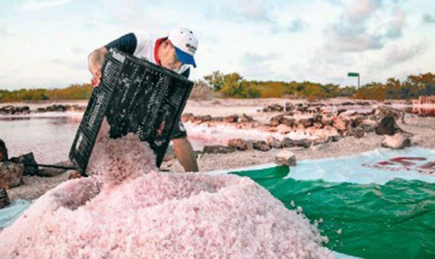 Harvesting Mayan Pink Salt.