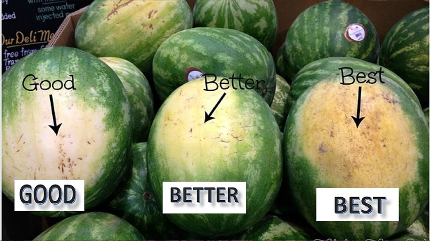 One of the things to look for in a good watermelon.