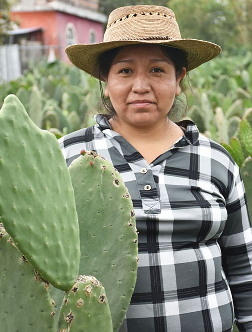 Zarai Loza's family has been growing nopal for generations.