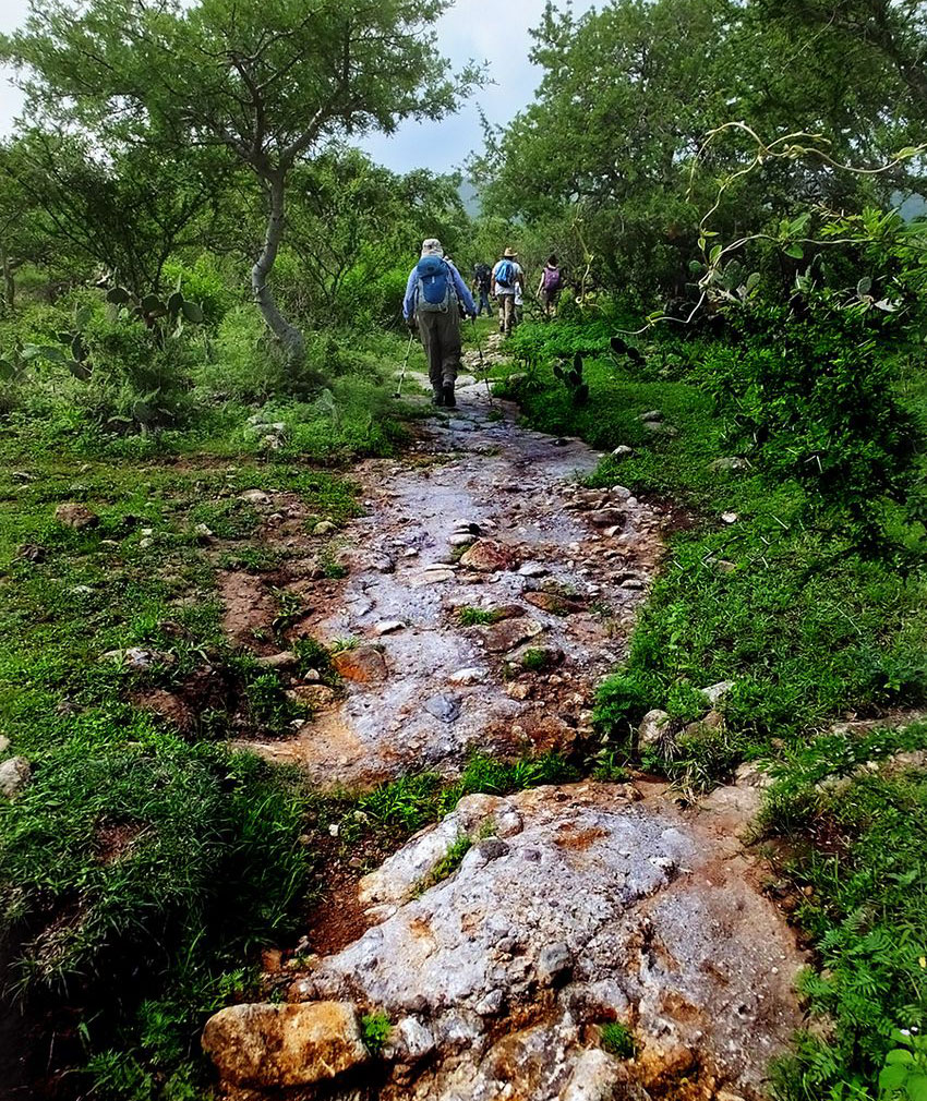 “Natural” rock-outcrop trail takes you up Cerro Viejo.