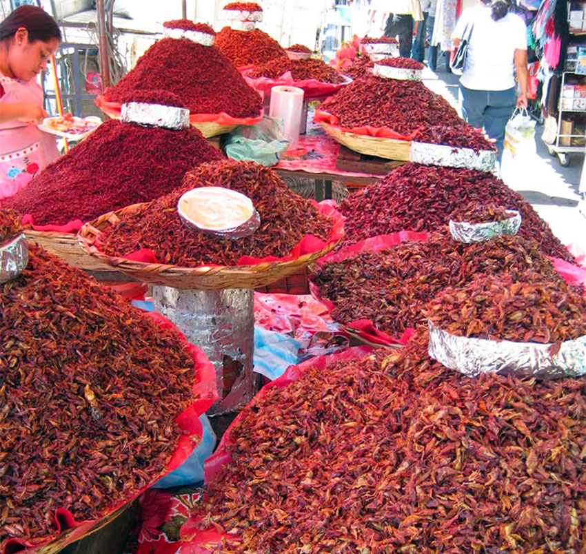 Chapulines at a market in Oaxaca.