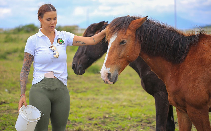 We need to start treating horses as sentient beings,' Larrea says.