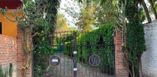 The gates behind which El Marro was hidden when he was captured Sunday.