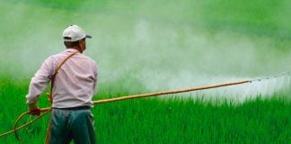 The Environment and Agricultural ministries have clashed over the use of a herbicide.