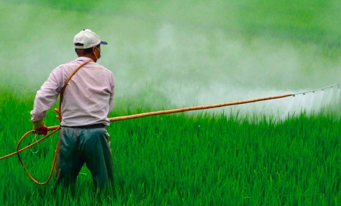 The Environment and Agricultural ministries have clashed over the use of a herbicide.