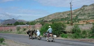 Zapotec farmers return from their ‘milpa,’