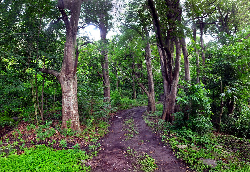 El Jabalí Park has four kilometers of pleasant trails.