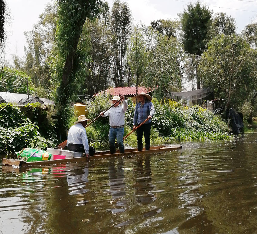 Abejas de Barrio is one of the few beekeeping projects in Mexico City's southern canals.