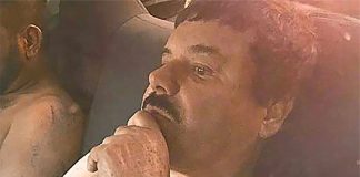 Guzmán after his arrest in 2016.