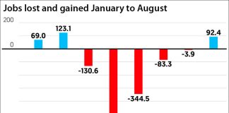 Formal sector employment losses and gains so far this year.