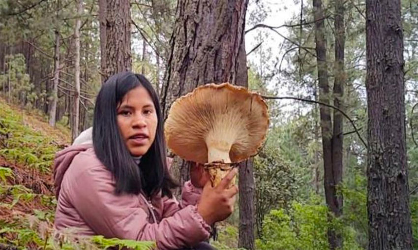 Bautista with a particularly large mushroom in a forest near her home.