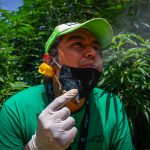 A pot smoker enjoys a joint at Plantón 420.