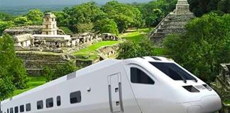 maya train