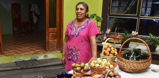 The Puebla cook and the ingredients that will go into her own version of the dish.
