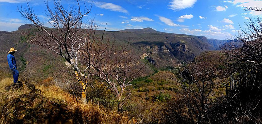 View from the mirador or lookout point at the lower end of the arboretum.