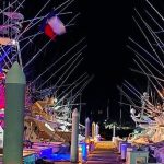Early-morning shot of boats at the Bisbee's Black & Blue this week in Cabo San Lucas.