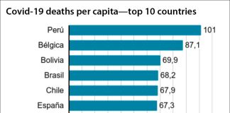 Coronavirus deaths per 100,000 inhabitants.