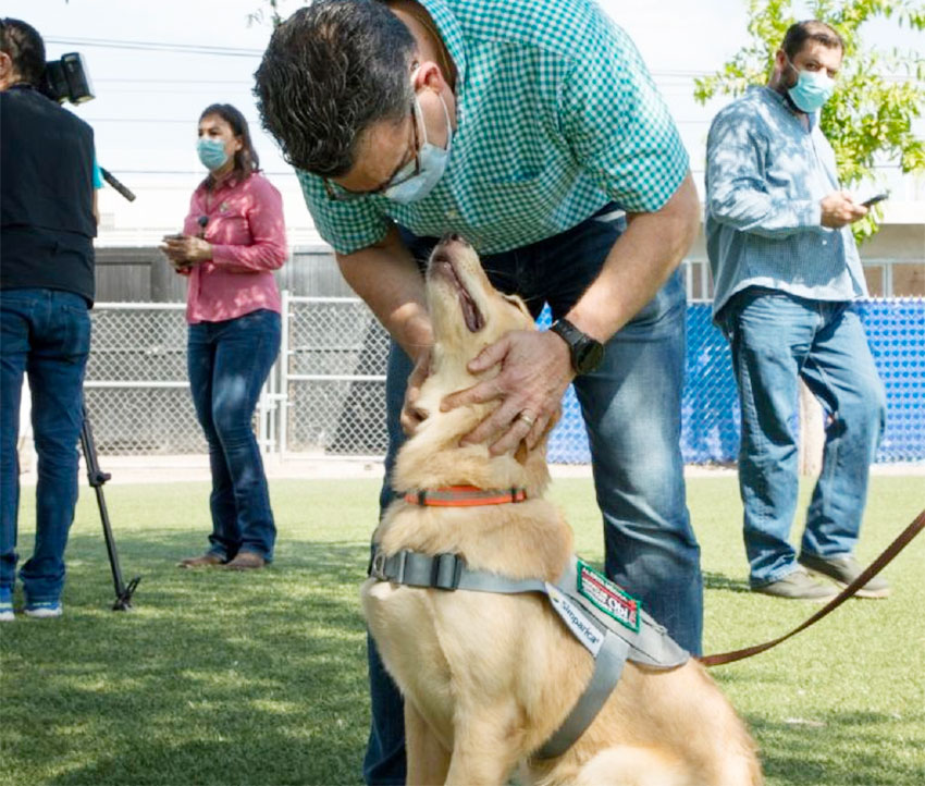 Trainer Sergio Castilla and one of the dogs learning to detect Covid-19.