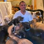 Ricardo Pimentel is surrounded by dogs at his home in Puerto Morelos.