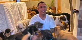 Ricardo Pimentel is surrounded by dogs at his home in Puerto Morelos.